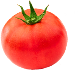 誰かの暮らしの役に立ちたい。それが、唯一無二のやりがいになる。