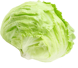 誰かの暮らしの役に立ちたい。それが、唯一無二のやりがいになる。