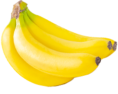 誰かの暮らしの役に立ちたい。それが、唯一無二のやりがいになる。