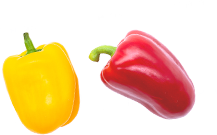 実はアリかも？スーパーマーケットという選択