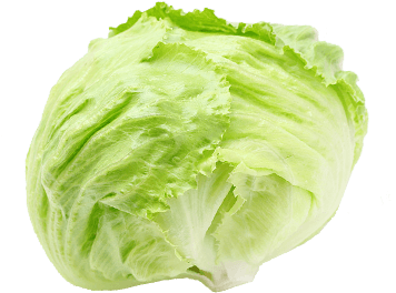 これ、やってみたいです って、言える場所がいい。