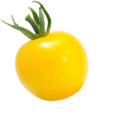 これ、やってみたいです って、言える場所がいい。