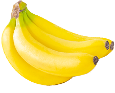 これ、やってみたいです って、言える場所がいい。