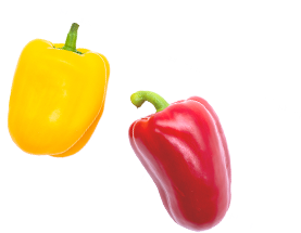 誰かのために動く。その気持ちに、ちゃんと応える会社へ。