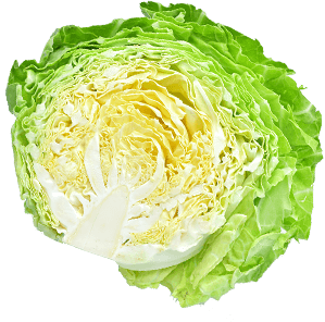 誰かのために動く。その気持ちに、ちゃんと応える会社へ。